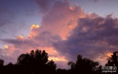 公司網站制作費用